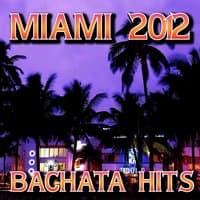 Miami 2012 Bachata Hits