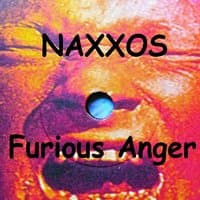 Furious Anger