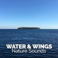 Water & Wings: Nature Sounds