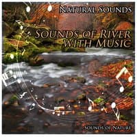 Natural Sounds: Sounds of River with Music