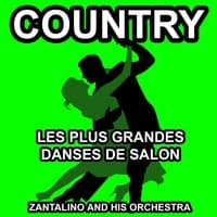 Les plus grandes danses de Salon: Country Danse