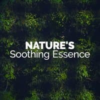 Nature's Soothing Essence