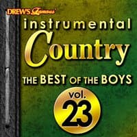 Instrumental Country: The Best of the Boys, Vol. 23