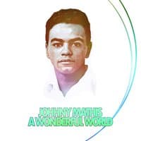 Johnny Mathis - A Wonderful World