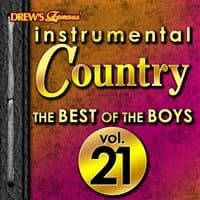 Instrumental Country: The Best of the Boys, Vol. 21