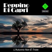 L'Autunno Non È Triste