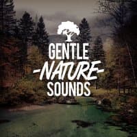 Gentle Nature Sounds