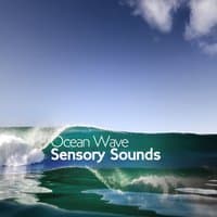 Ocean Wave Sensory Sounds