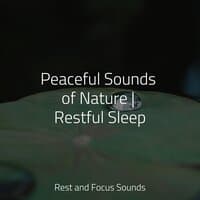 Peaceful Sounds of Nature | Restful Sleep