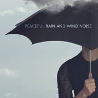 Peaceful Rain and Wind Noise: Calming Nature Sounds for Sleep, Relax, De-stress, Wellness