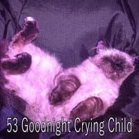 53 Goodnight Crying Child