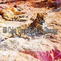 69 Calm Tracks for Easy Sleeping