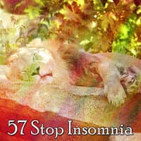 57 Stop Insomnia