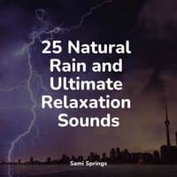 25 Natural Rain and Ultimate Relaxation Sounds