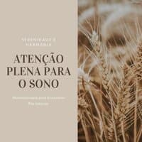 Atenção Plena para o Sono: Musicoterapia para Encontrar Paz Interior, Serenidade e Harmonia