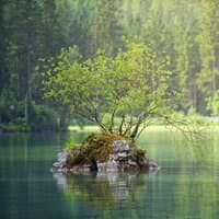 Melodías Calmadas Y Relajantes | Paz Y Tranquilidad Instantáneas