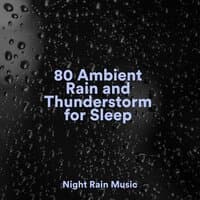 80 Ambient Rain and Thunderstorm for Sleep