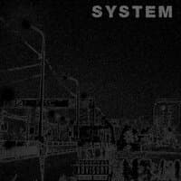 System