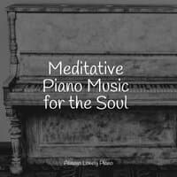 Meditative Piano Music for the Soul