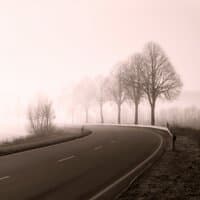 Fog Lane