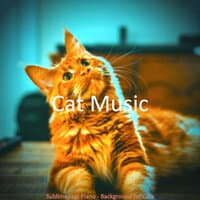 Sublime Jazz Piano - Background for Cats