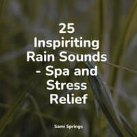 25 Inspiriting Rain Sounds - Spa and Stress Relief