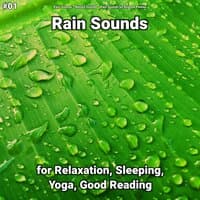 Peerless Rain Sounds