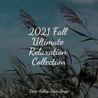 2021 Fall Ultimate Relaxation Collection