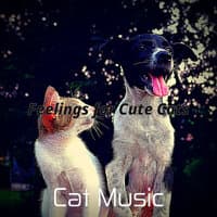 Feelings for Cute Cats