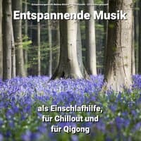 Entspannende Musik als Einschlafhilfe, für Chillout und für Qigong