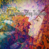 78 A Dreamy Way to Sleep