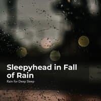 Sleepyhead in Fall of Rain