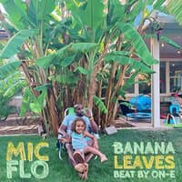 Banana Leaves