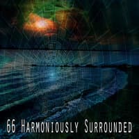 66 Harmoniously Surrounded