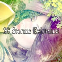 28 Storms Existence