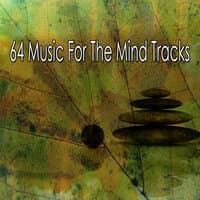 64 трека Music For The Mind