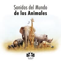 Sonidos del Mundo de los Animales