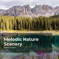 Melodic Nature Scenery