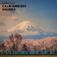 Calm Ambient Sounds