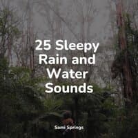 25 Sleepy Rain and Water Sounds