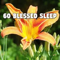 60 Blessed Sleep