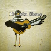 10 Latin Home