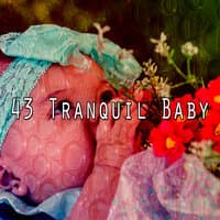 43 Tranquil Baby