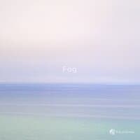 Fog