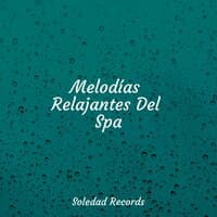 Melodías Relajantes Del Spa