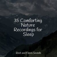 35 Comforting Nature Recordings for Sleep