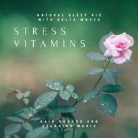 Stress Vitamins - Natural Sleep Aid with Delta Waves, Rain Sounds and Relaxing Music