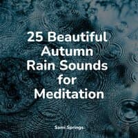 25 Beautiful Autumn Rain Sounds for Meditation