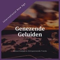 Genezende Geluiden - Natuurliedjes en Ontspannende Tracks