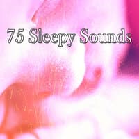 75 Sleepy Sounds